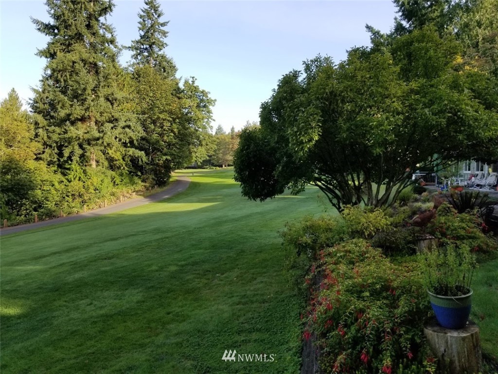 17023 154th Place Southeast Renton, WA 98058 - Photo 22 of 24 a view of a garden with a tree