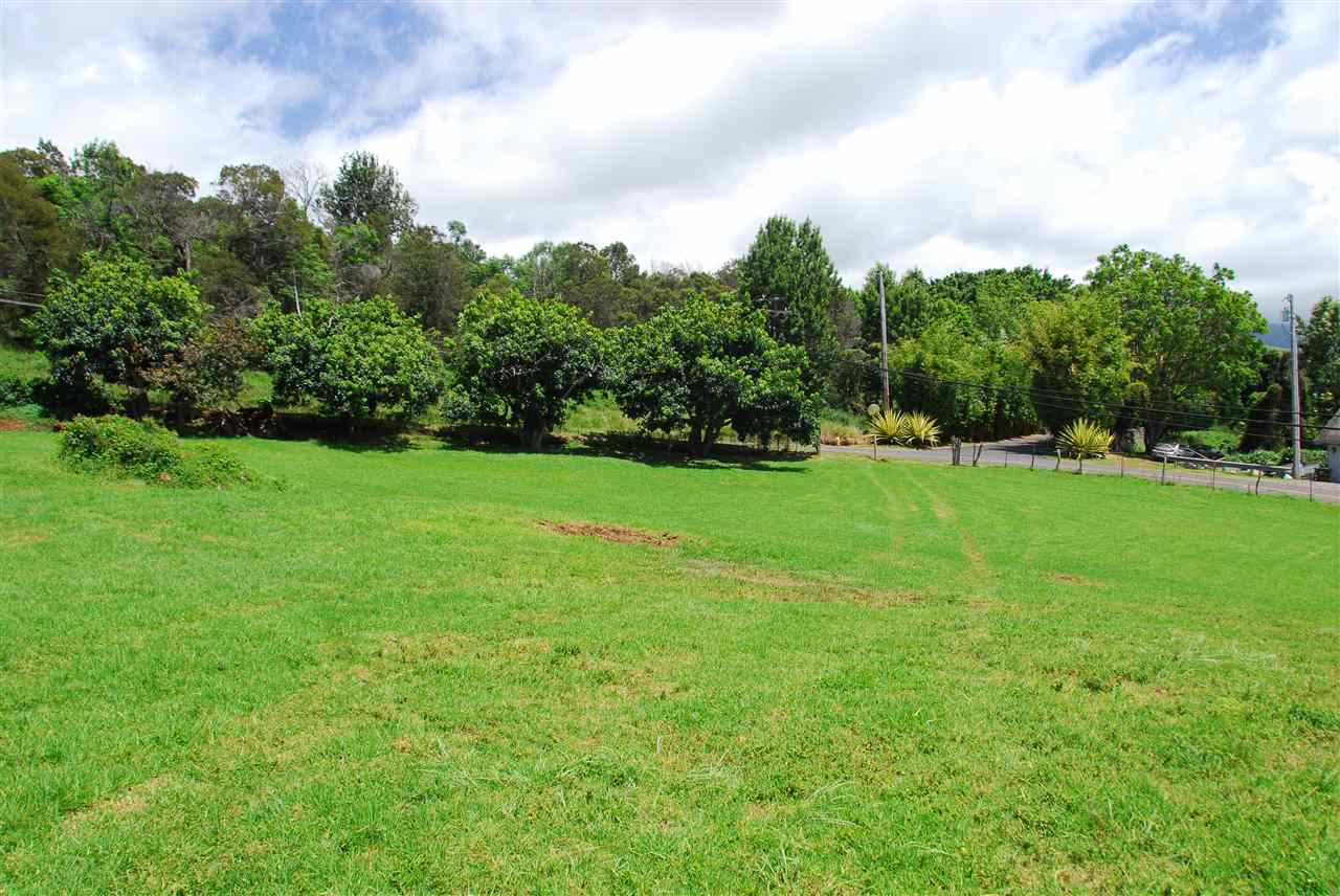 745 Lower Kimo Drive, Unit B Kula, HI 96790 - Photo 3 of 6 a view of a grassy field with trees in the background