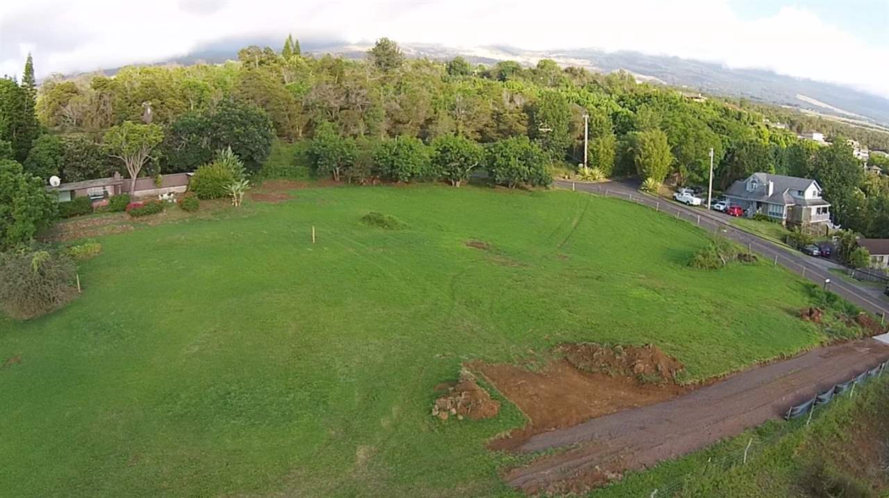 745 Lower Kimo Drive, Unit B Kula, HI 96790 - Photo 5 of 6 a view of a garden with a building in the background