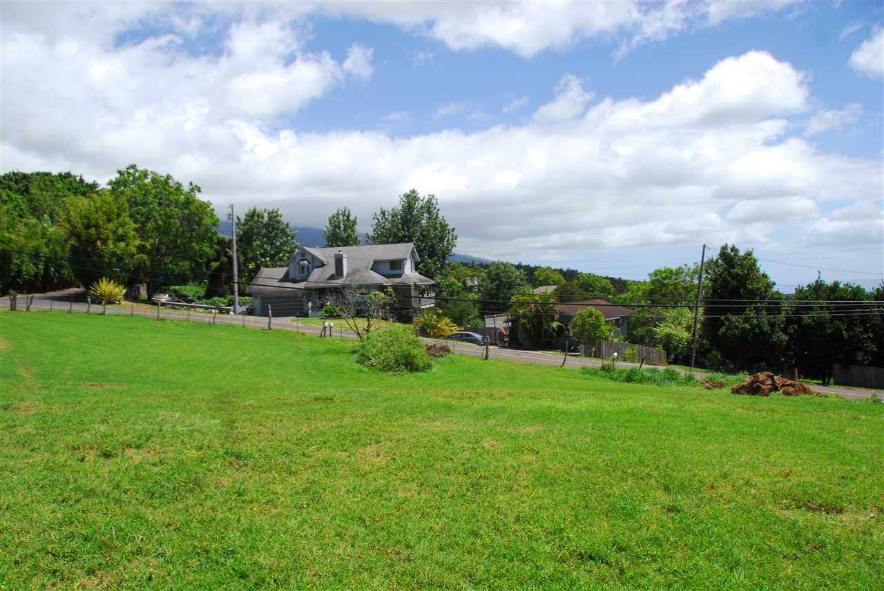 745 Lower Kimo Drive, Unit B Kula, HI 96790 - Photo 6 of 6 a view of a garden with houses in the back