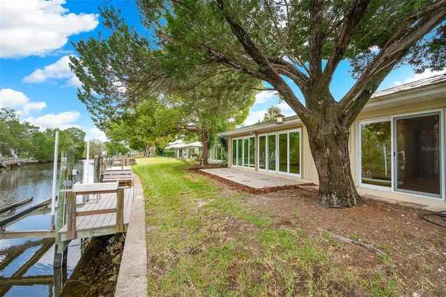 a view of a house with backyard and a tree