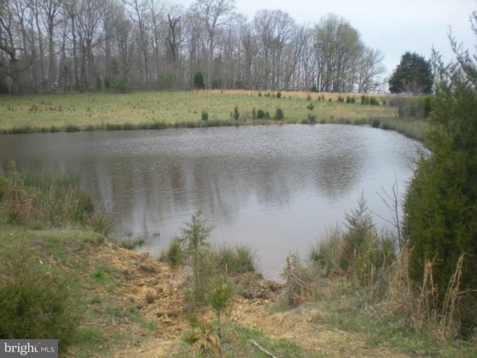 Maddens Tavern Road Stevensburg, VA 22741 - Photo 1 of 24 Pond