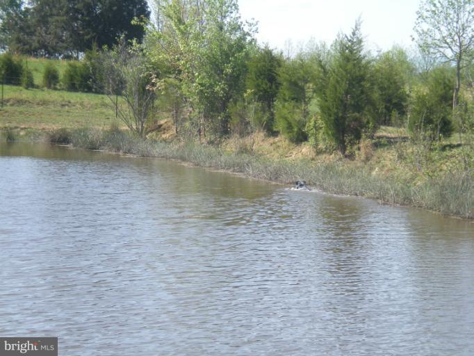 Maddens Tavern Road Stevensburg, VA 22741 - Photo 2 of 24 Pond