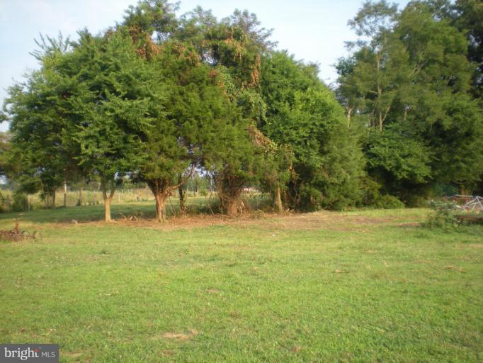 Maddens Tavern Road Stevensburg, VA 22741 - Photo 3 of 24 Lot view