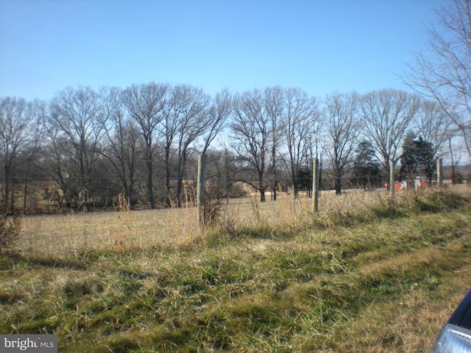 Maddens Tavern Road Stevensburg, VA 22741 - Photo 5 of 24 Field view