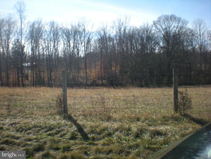Maddens Tavern Road Stevensburg, VA 22741 - Photo 6 of 24 Field view