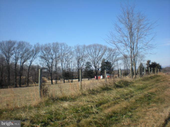 Maddens Tavern Road Stevensburg, VA 22741 - Photo 7 of 24 Field view