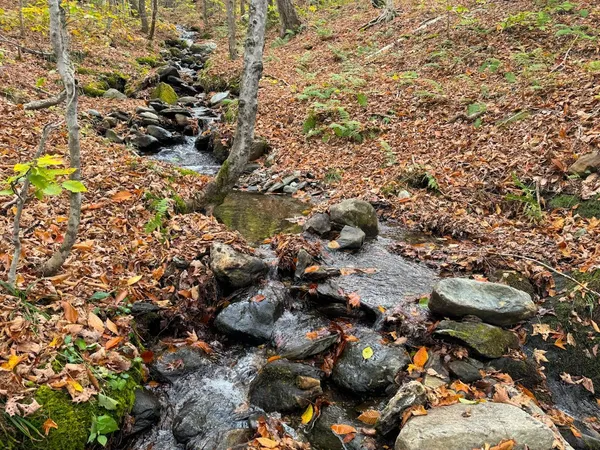 $348,800 | 0 Cider Mountain Road, Warren, VT 05674