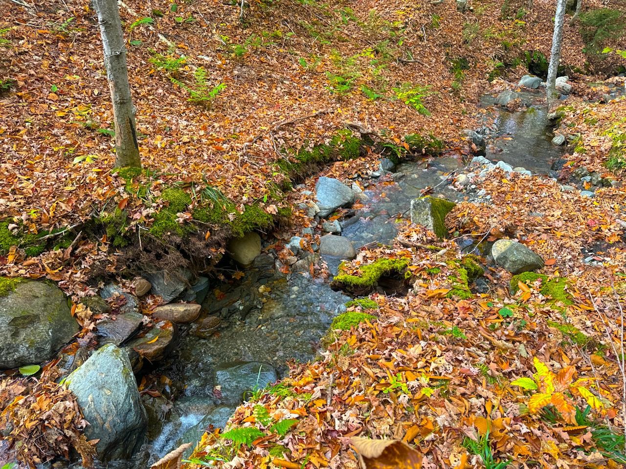 0 Cider Mountain Road Warren, VT 05674 - Photo 14 of 38