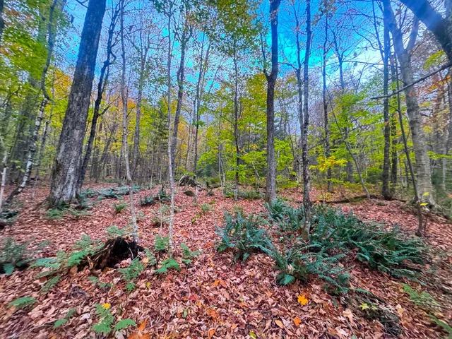 $348,800 | 0 Cider Mountain Road, Warren, VT 05674