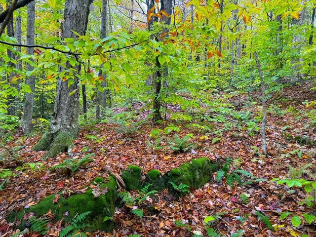 $348,800 | 0 Cider Mountain Road, Warren, VT 05674