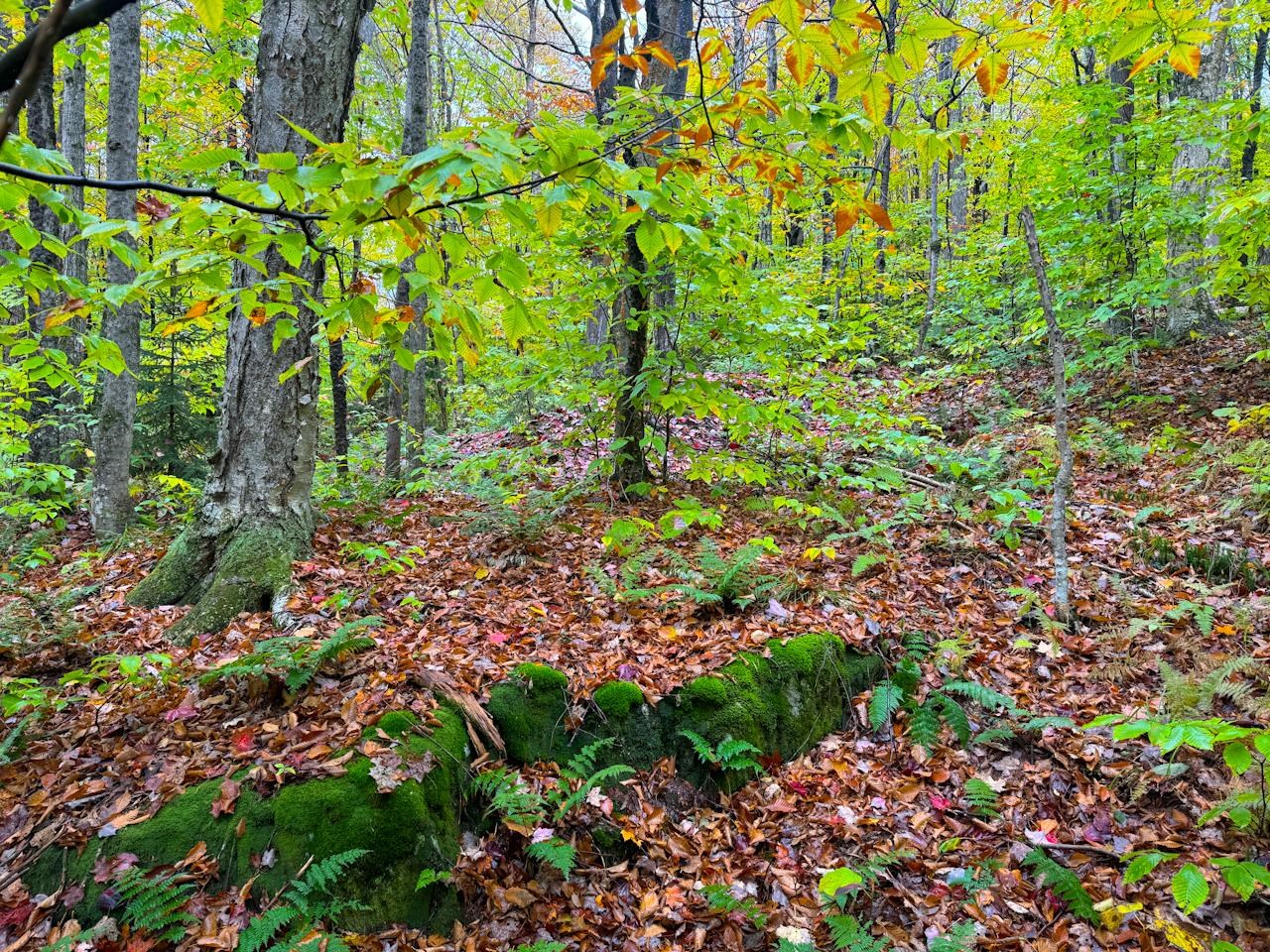 0 Cider Mountain Road Warren, VT 05674 - Photo 20 of 38