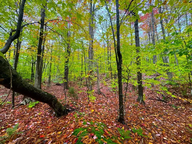 $348,800 | 0 Cider Mountain Road, Warren, VT 05674