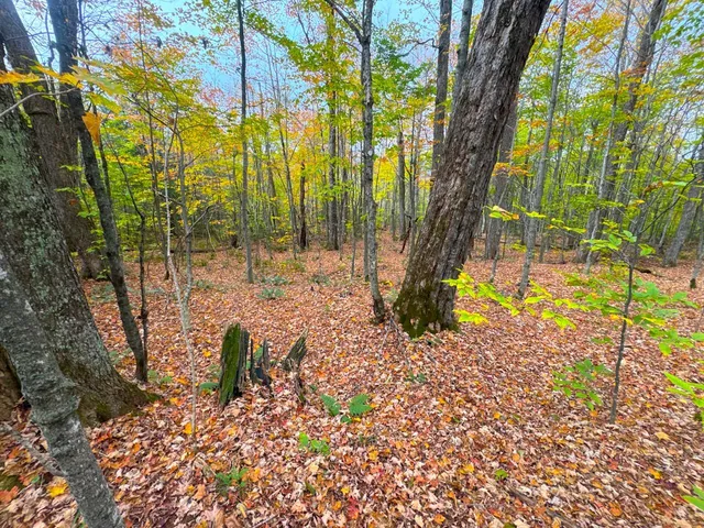 $348,800 | 0 Cider Mountain Road, Warren, VT 05674