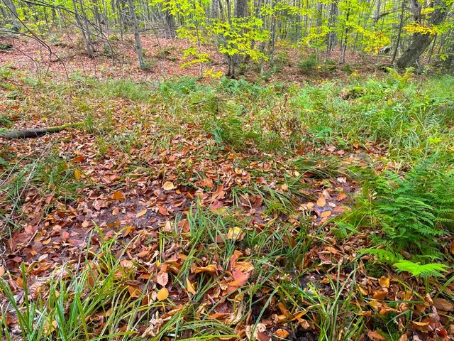 $348,800 | 0 Cider Mountain Road, Warren, VT 05674