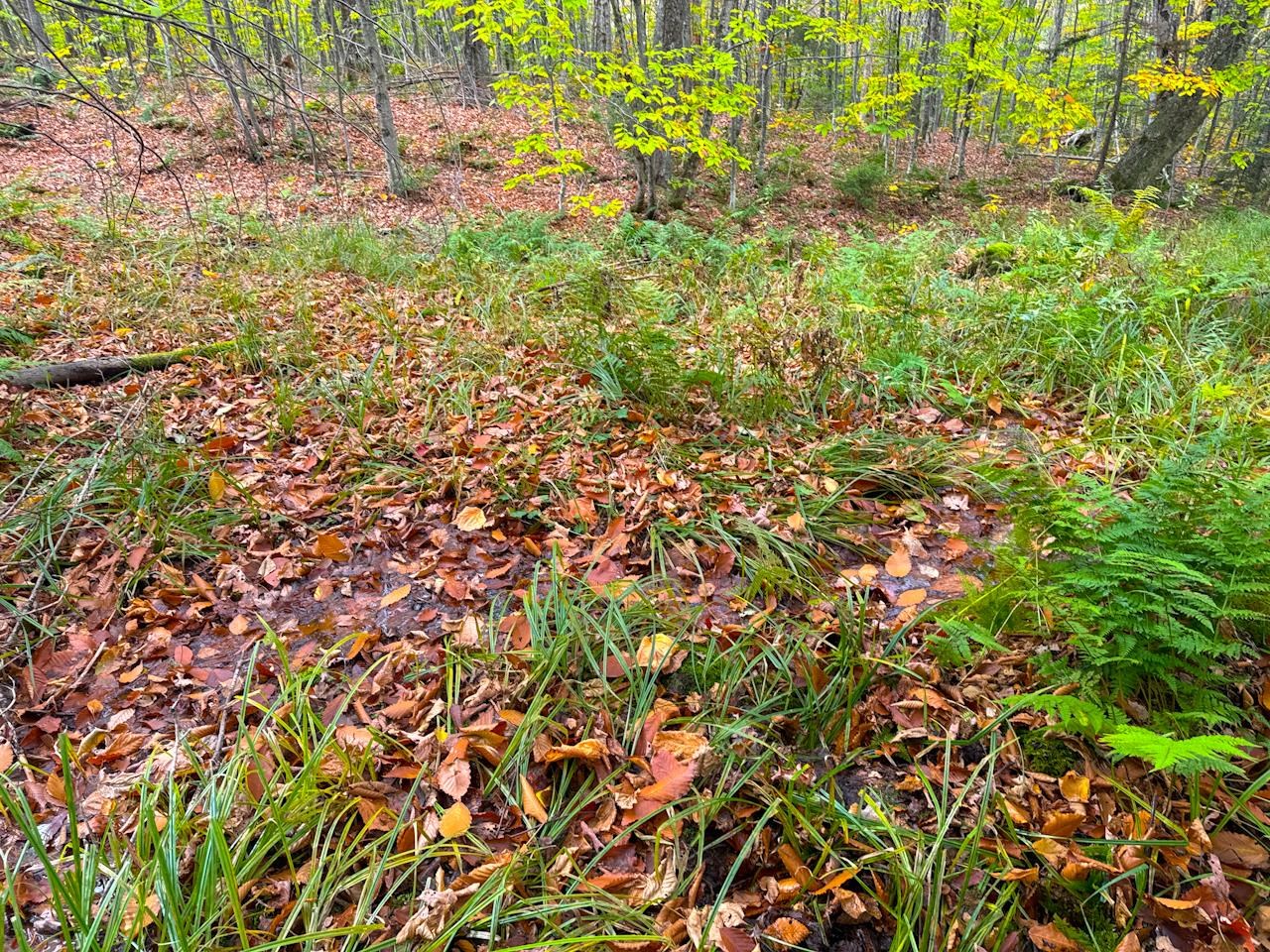 0 Cider Mountain Road Warren, VT 05674 - Photo 23 of 38