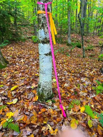 $348,800 | 0 Cider Mountain Road, Warren, VT 05674