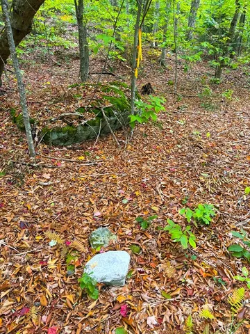 $348,800 | 0 Cider Mountain Road, Warren, VT 05674