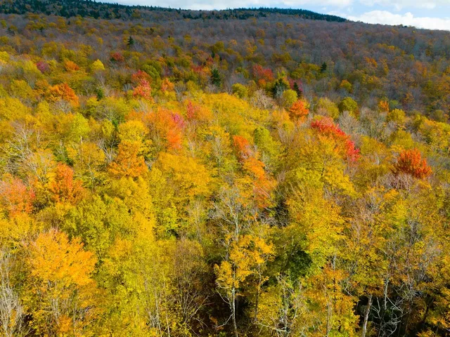 $348,800 | 0 Cider Mountain Road, Warren, VT 05674