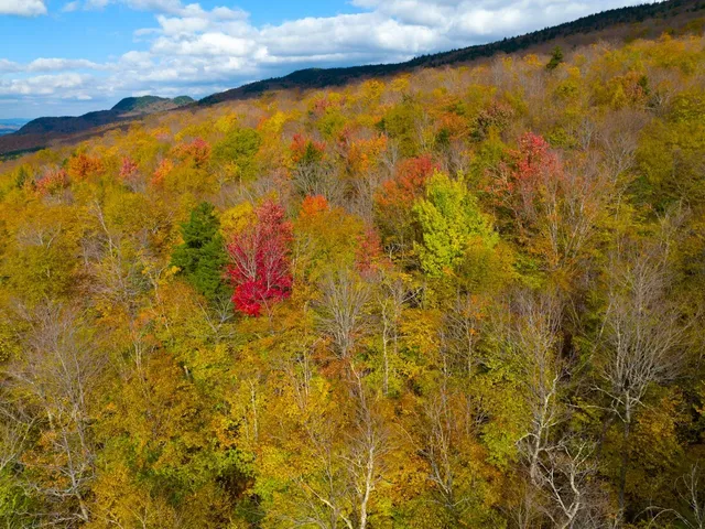 $348,800 | 0 Cider Mountain Road, Warren, VT 05674