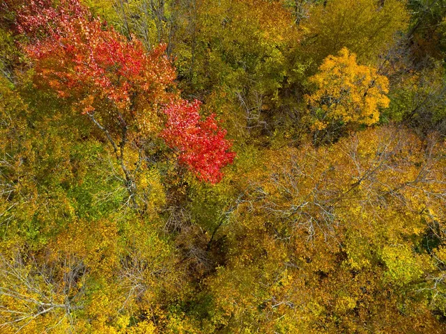 $348,800 | 0 Cider Mountain Road, Warren, VT 05674