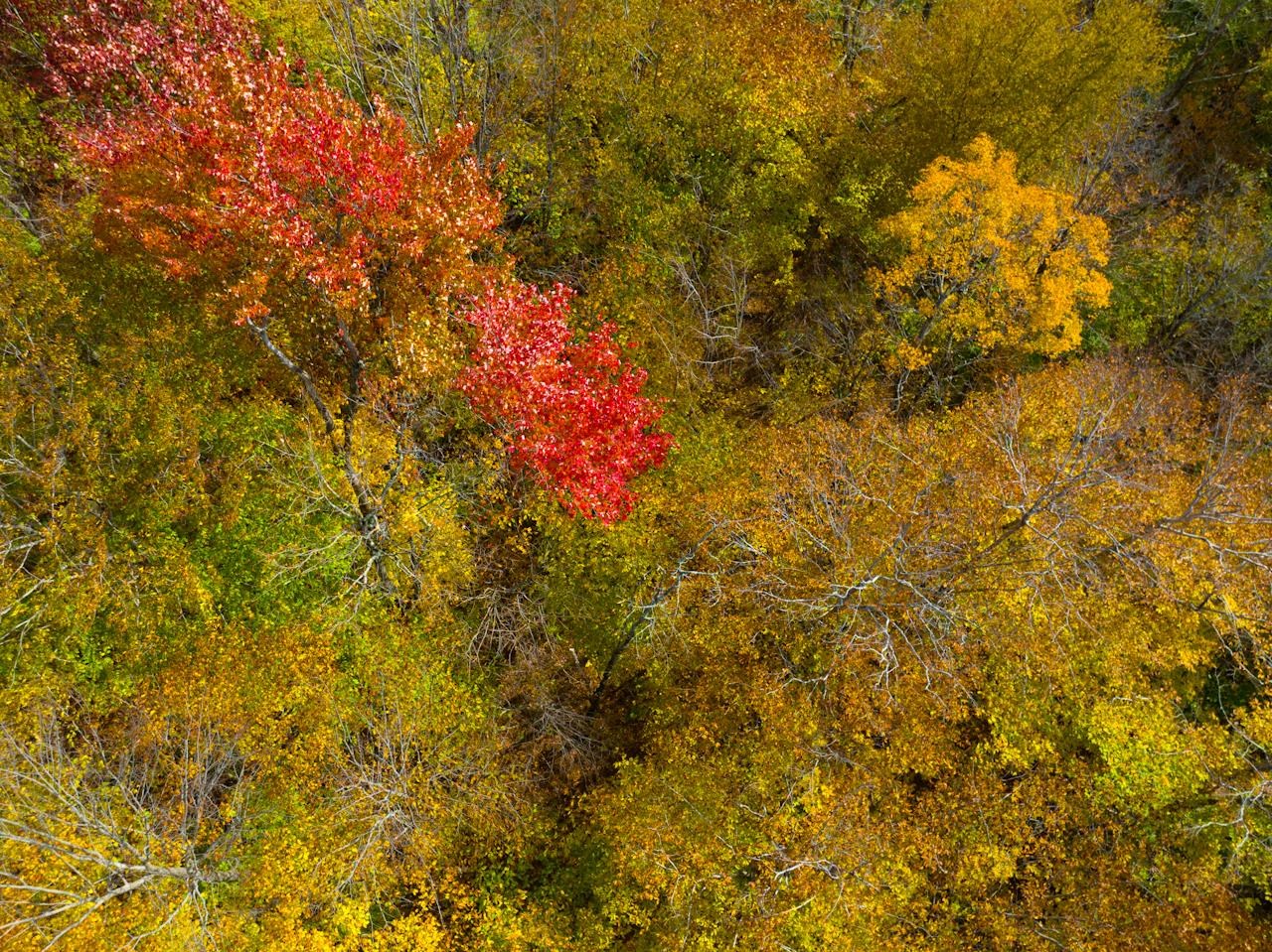 0 Cider Mountain Road Warren, VT 05674 - Photo 34 of 38