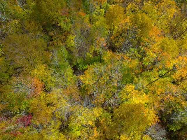 $348,800 | 0 Cider Mountain Road, Warren, VT 05674