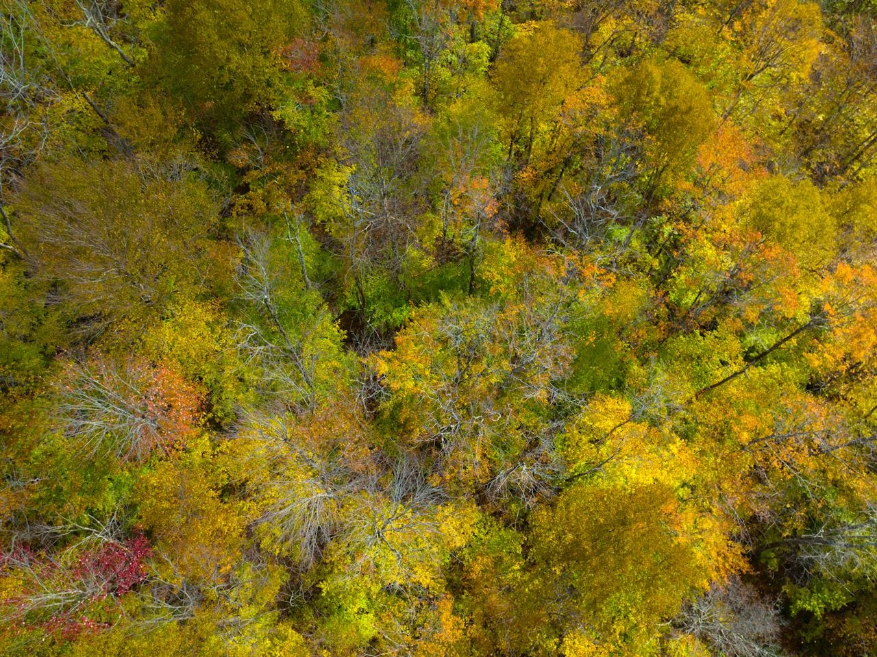 0 Cider Mountain Road Warren, VT 05674 - Photo 35 of 38