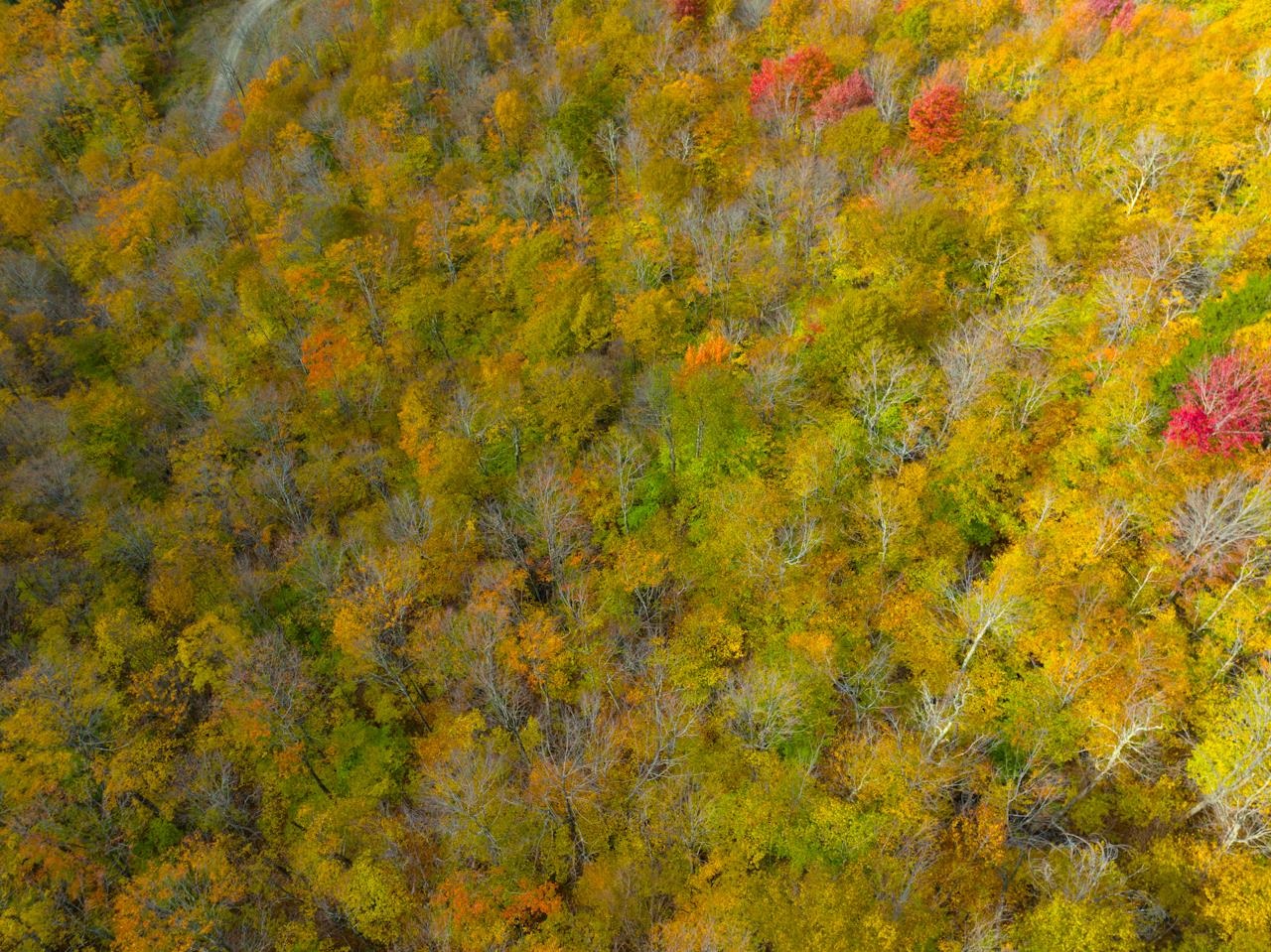 0 Cider Mountain Road Warren, VT 05674 - Photo 36 of 38