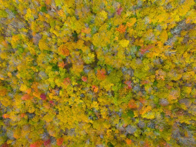 $348,800 | 0 Cider Mountain Road, Warren, VT 05674