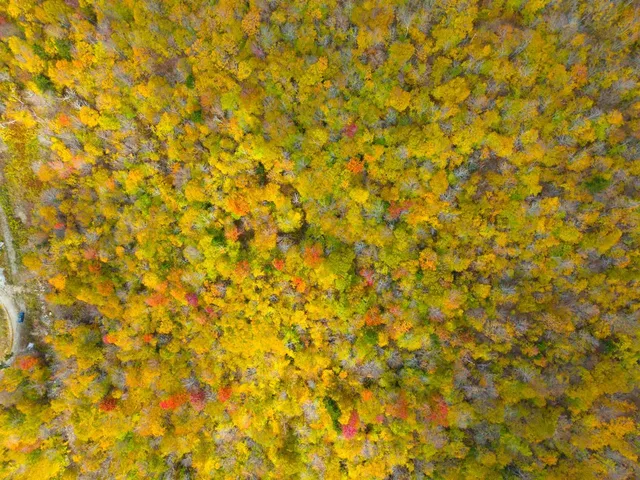 $348,800 | 0 Cider Mountain Road, Warren, VT 05674