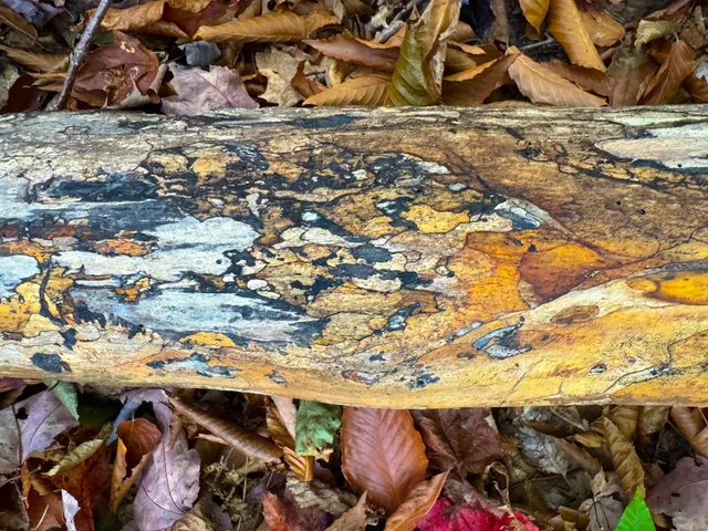 $348,800 | 0 Cider Mountain Road, Warren, VT 05674