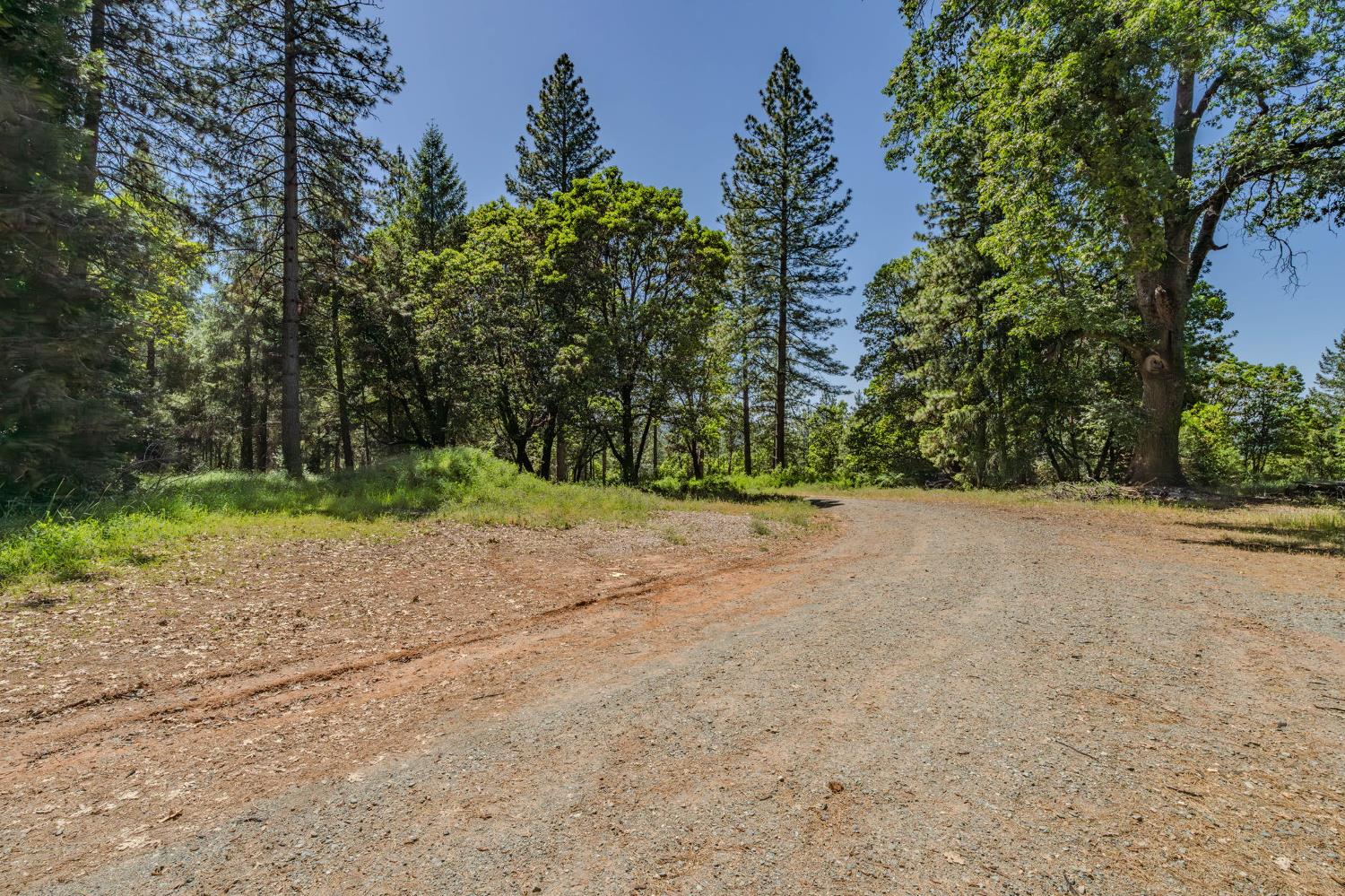 0 Schaefer Ranch Road Pioneer, CA 95666 - Photo 8 of 72