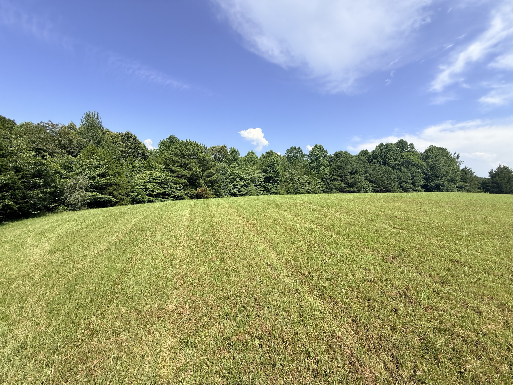 0 Ghea Normandy, TN 37360 - Photo 6 of 46