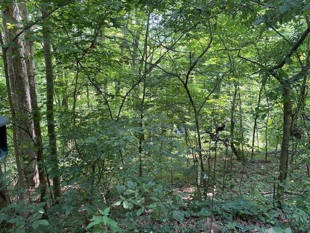980 McGrery Road Southeast Lancaster, OH 43130 - Photo 11 of 44 Gallery Image 11