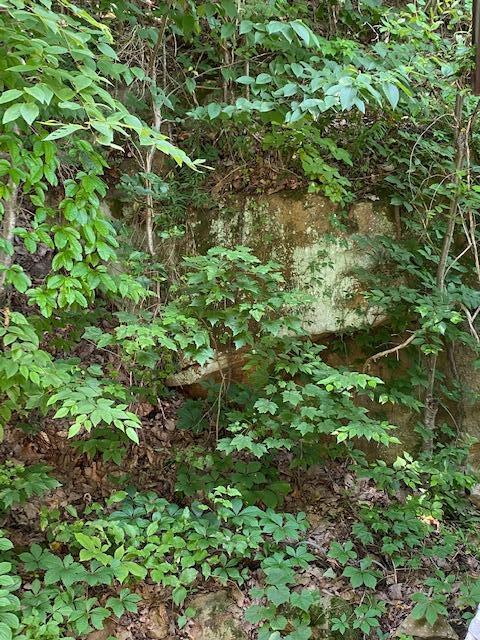 980 McGrery Road Southeast Lancaster, OH 43130 - Photo 17 of 44 Gallery Image 17