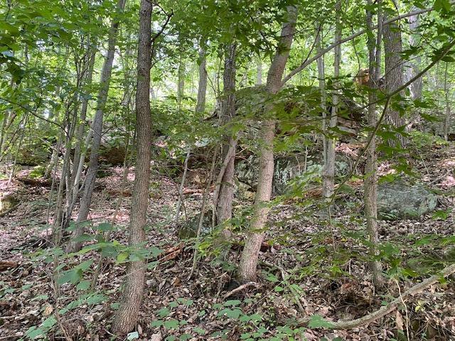 980 McGrery Road Southeast Lancaster, OH 43130 - Photo 19 of 44 Gallery Image 19