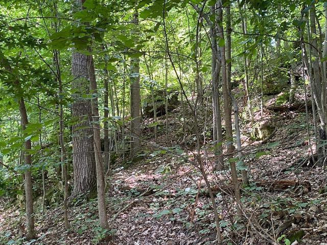 980 McGrery Road Southeast Lancaster, OH 43130 - Photo 20 of 44 Gallery Image 20