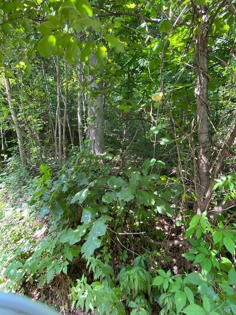 980 McGrery Road Southeast Lancaster, OH 43130 - Photo 21 of 44 Gallery Image 21