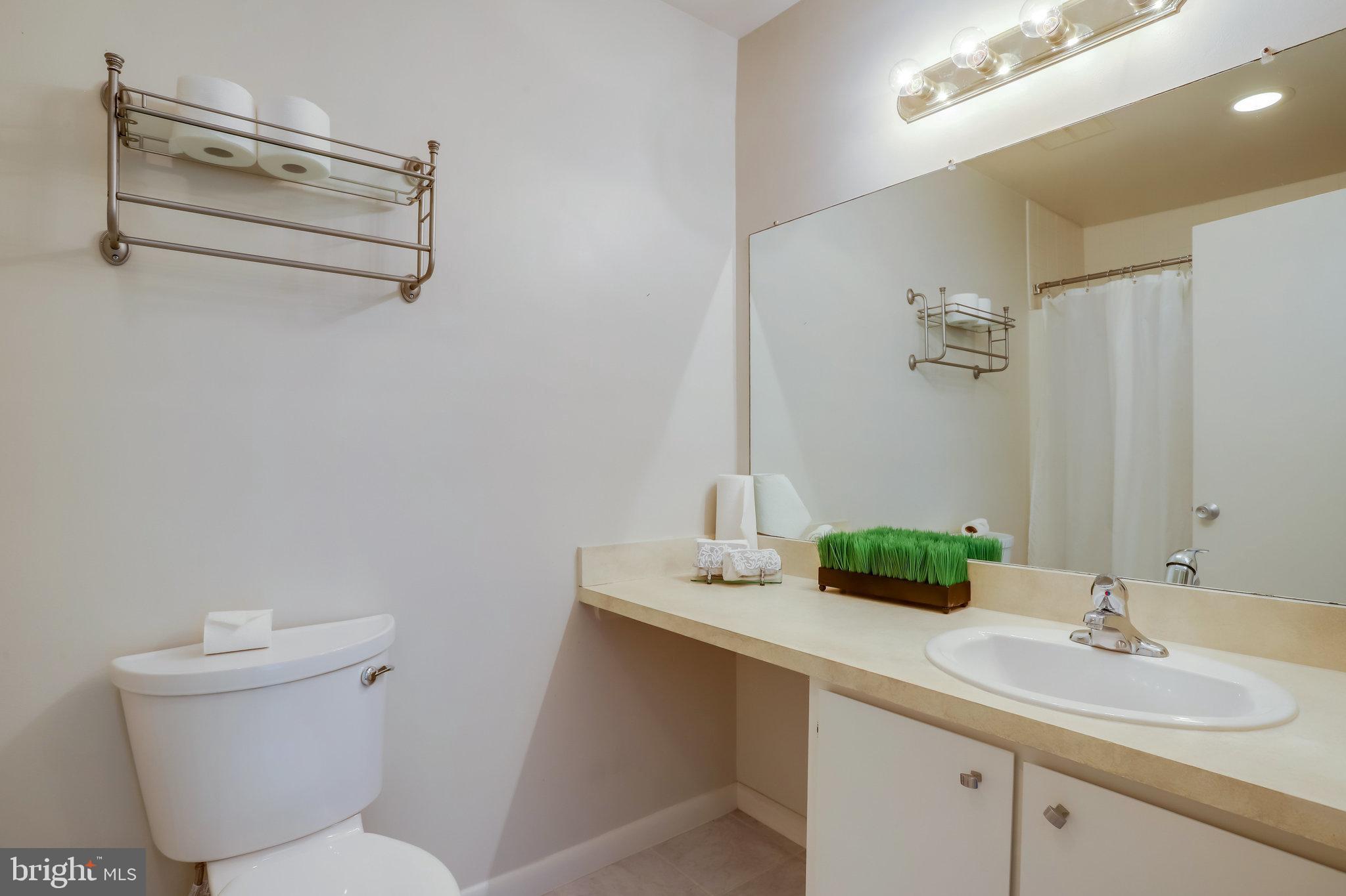 11724 Newbridge Court Reston, VA 20191 - Photo 33 of 61 Primary Bathroom