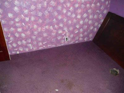 3301 North Van Dyke Road Bad Axe, MI 48413 - Photo 9 of 11 20134571-8.JPG