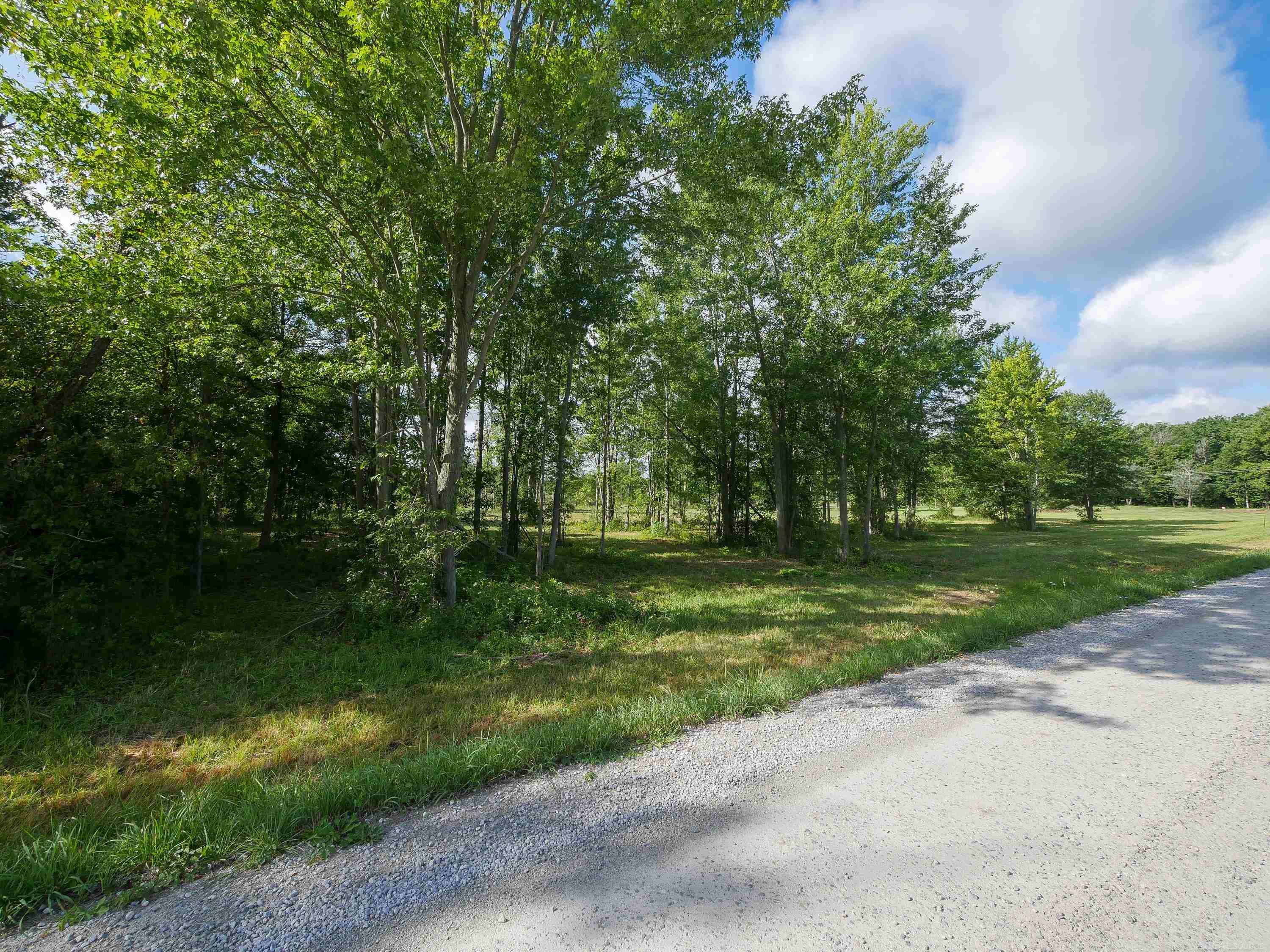 0 Drexler Road St. Clair, MI 48079 - Photo 10 of 16 50219466-86def9e6-cfb8-489f-9826-5880022aa2fe.JPG