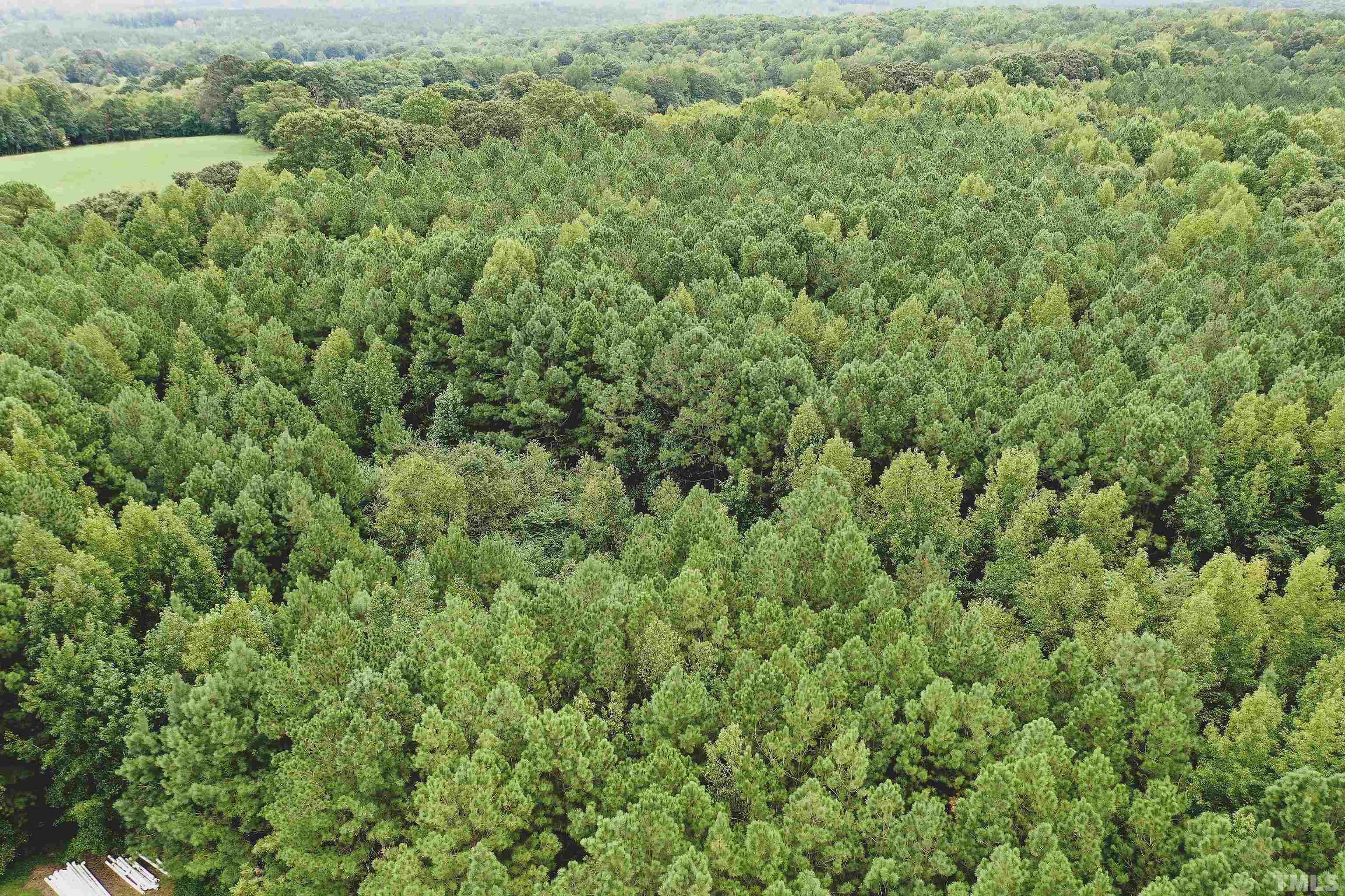 5-acres South Chavis Road Kittrell, NC 27544 - Photo 11 of 25 a view of a large yard with lots of green space