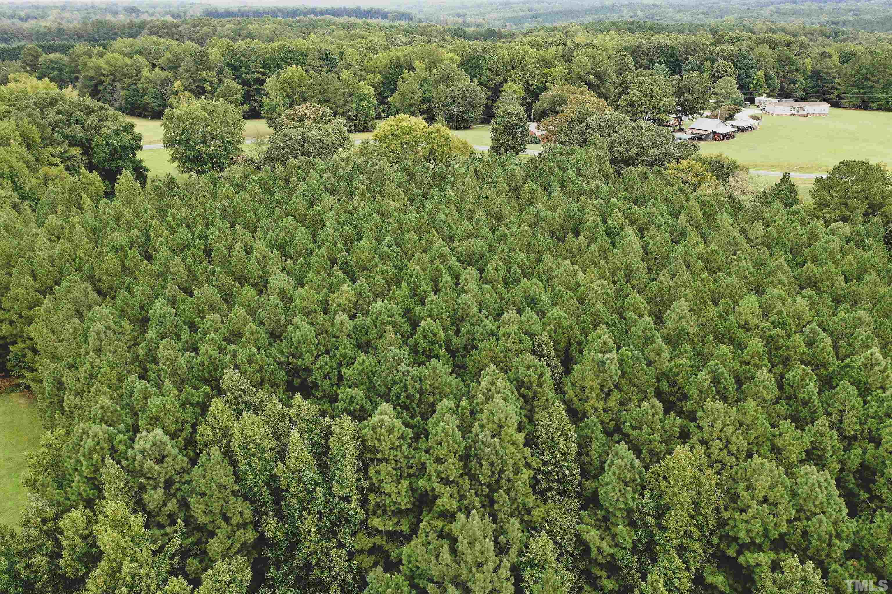5-acres South Chavis Road Kittrell, NC 27544 - Photo 12 of 25 a view of a forest with a houses