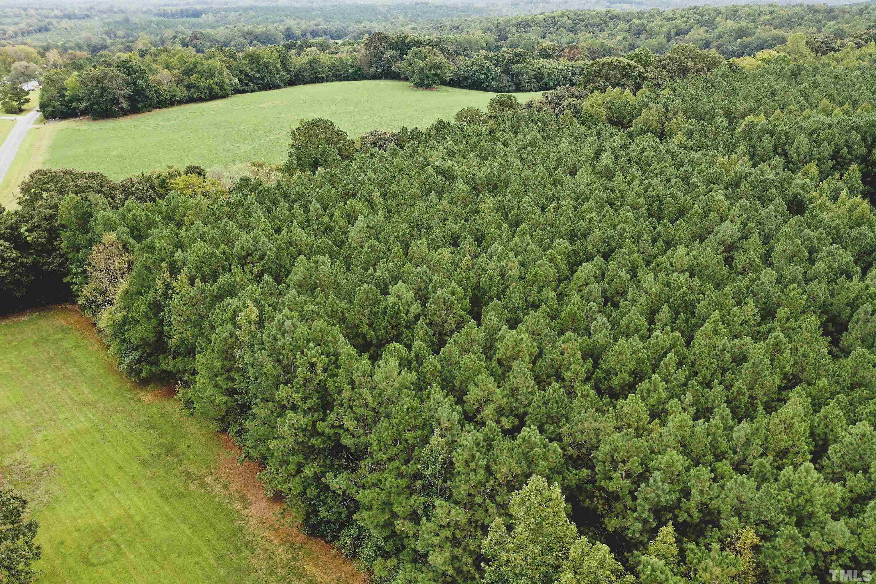 5-acres South Chavis Road Kittrell, NC 27544 - Photo 13 of 25 a view of a lake with a yard