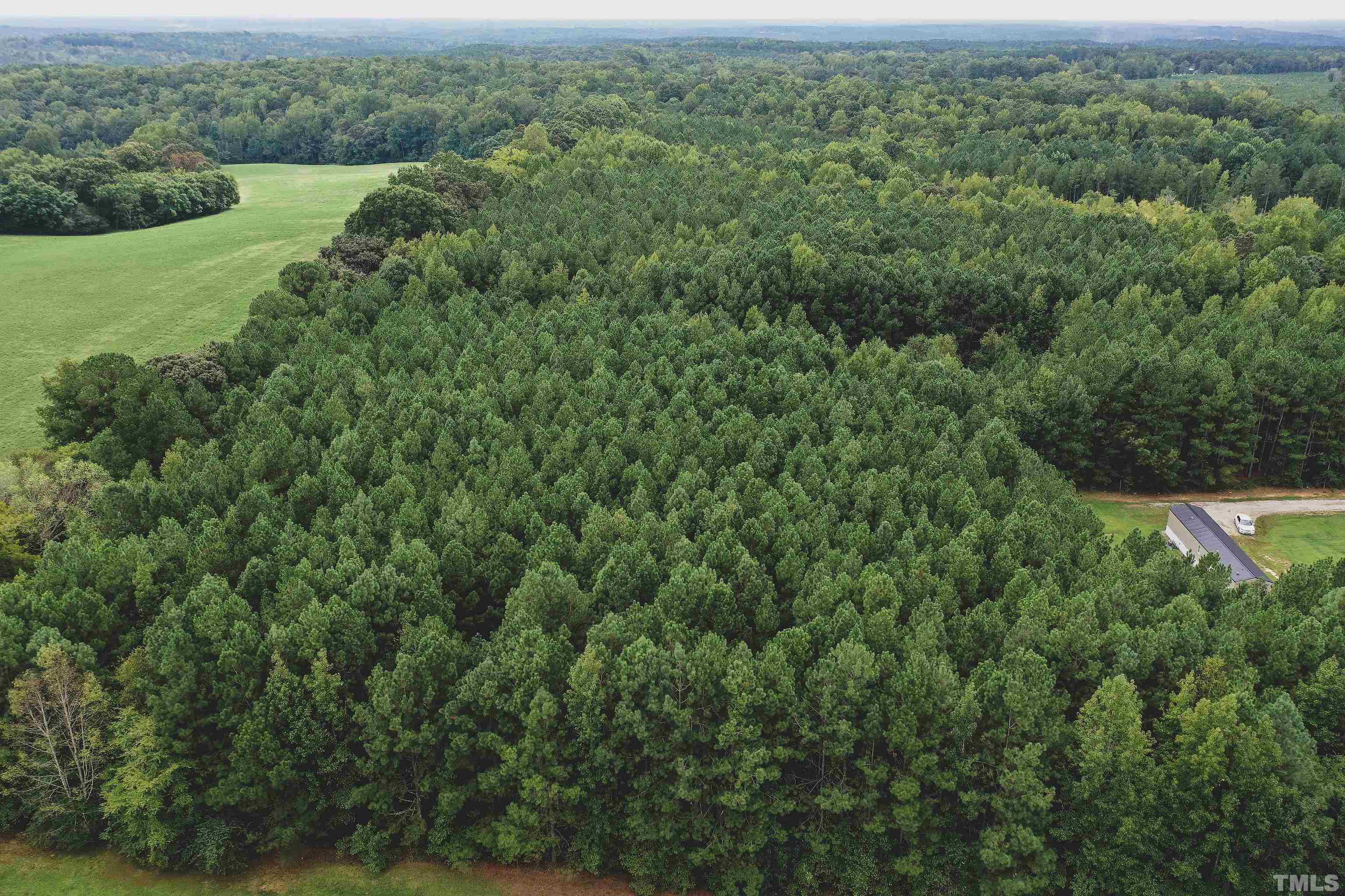 5-acres South Chavis Road Kittrell, NC 27544 - Photo 14 of 25 an aerial view of a houses with a yard