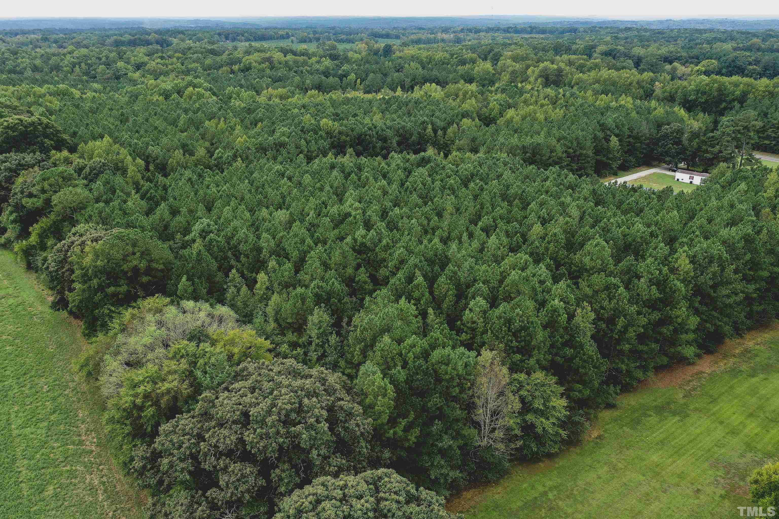 5-acres South Chavis Road Kittrell, NC 27544 - Photo 15 of 25 a view of a forest with a street