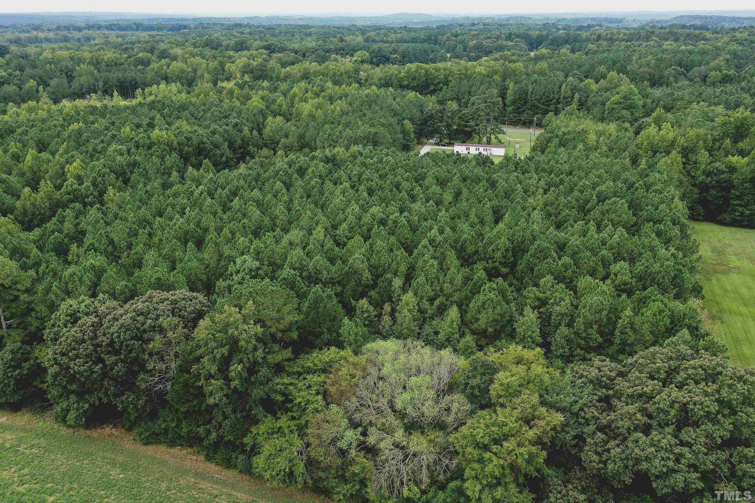 5-acres South Chavis Road Kittrell, NC 27544 - Photo 16 of 25 a view of a forest with a street