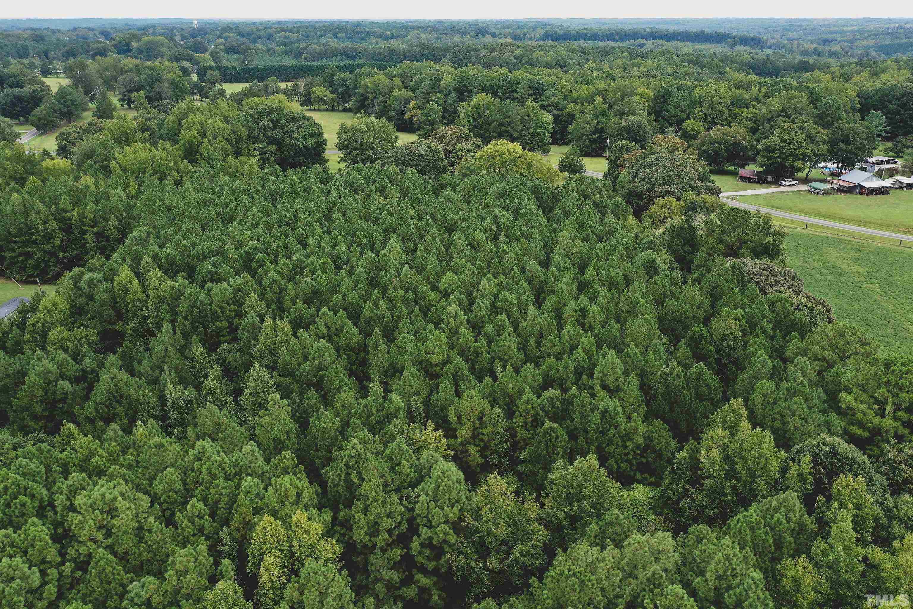 5-acres South Chavis Road Kittrell, NC 27544 - Photo 18 of 25 an aerial view of residential houses with outdoor space and trees
