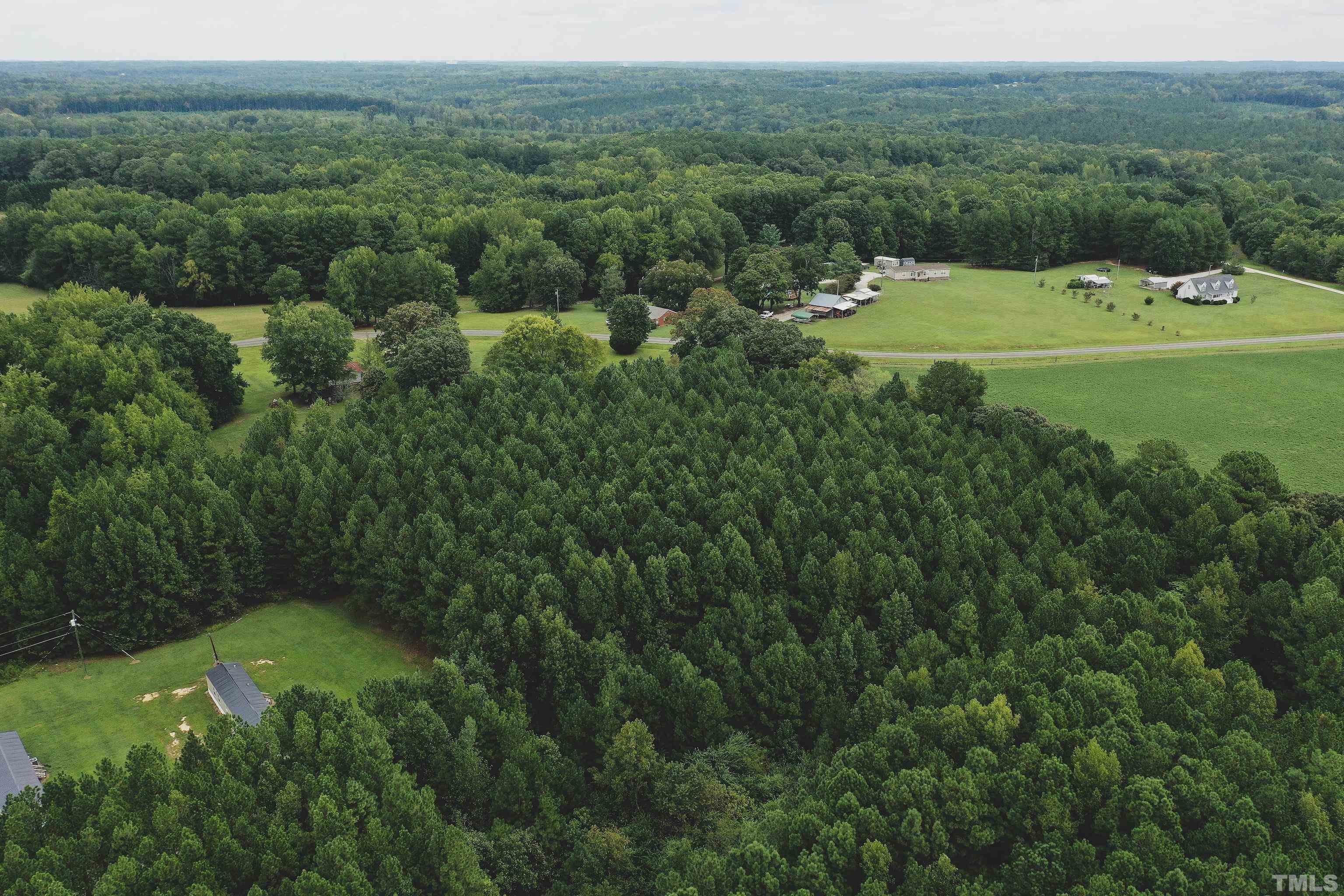 5-acres South Chavis Road Kittrell, NC 27544 - Photo 19 of 25 a view of a grassy area with an trees